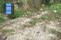 Scene_47e_Releasing Morpho
